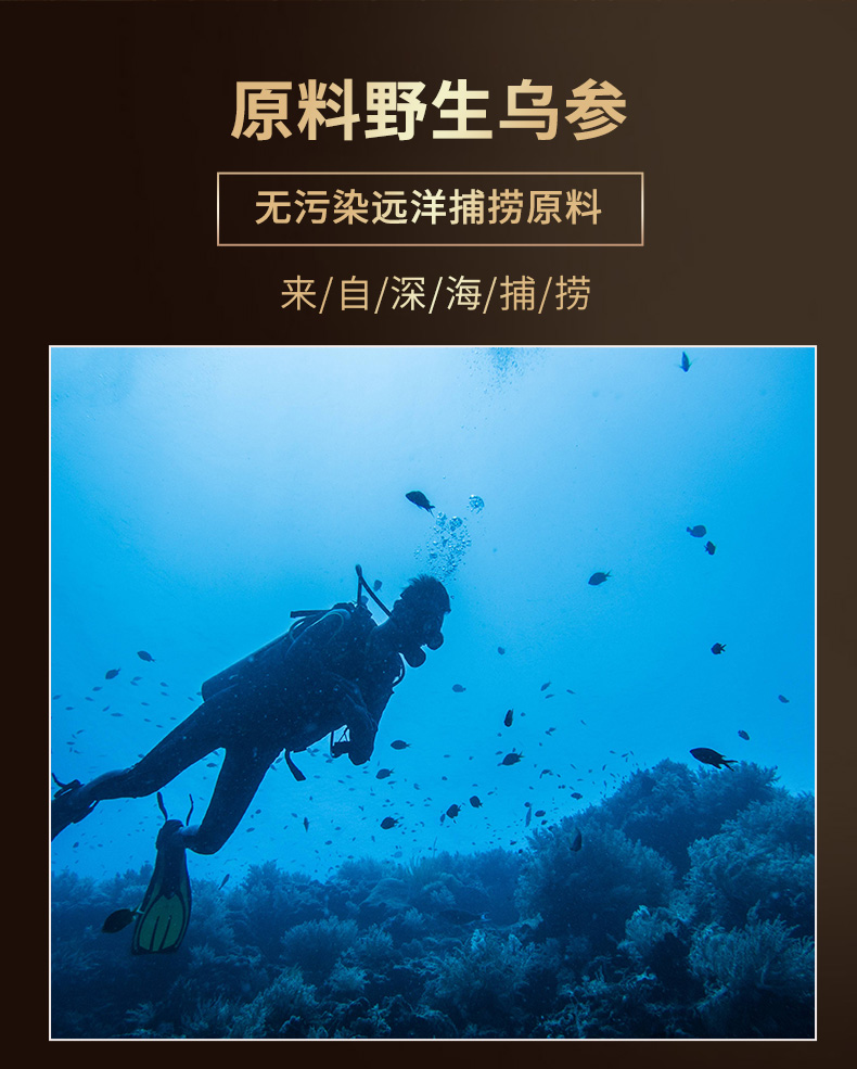 海參肽詳情圖_07.jpg