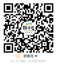 劲家庄视频号