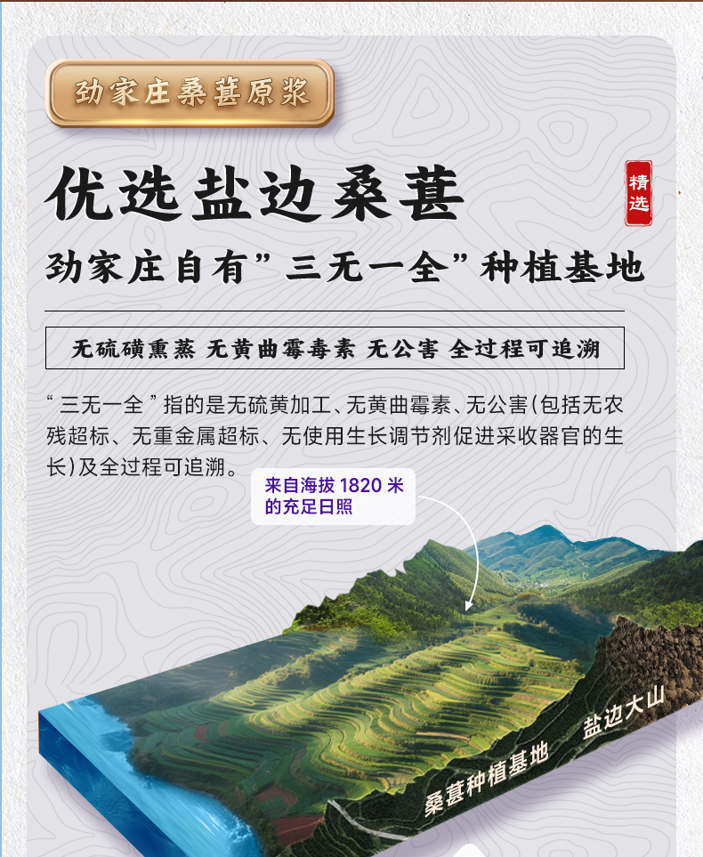 桑葚原浆-详情_04.jpg