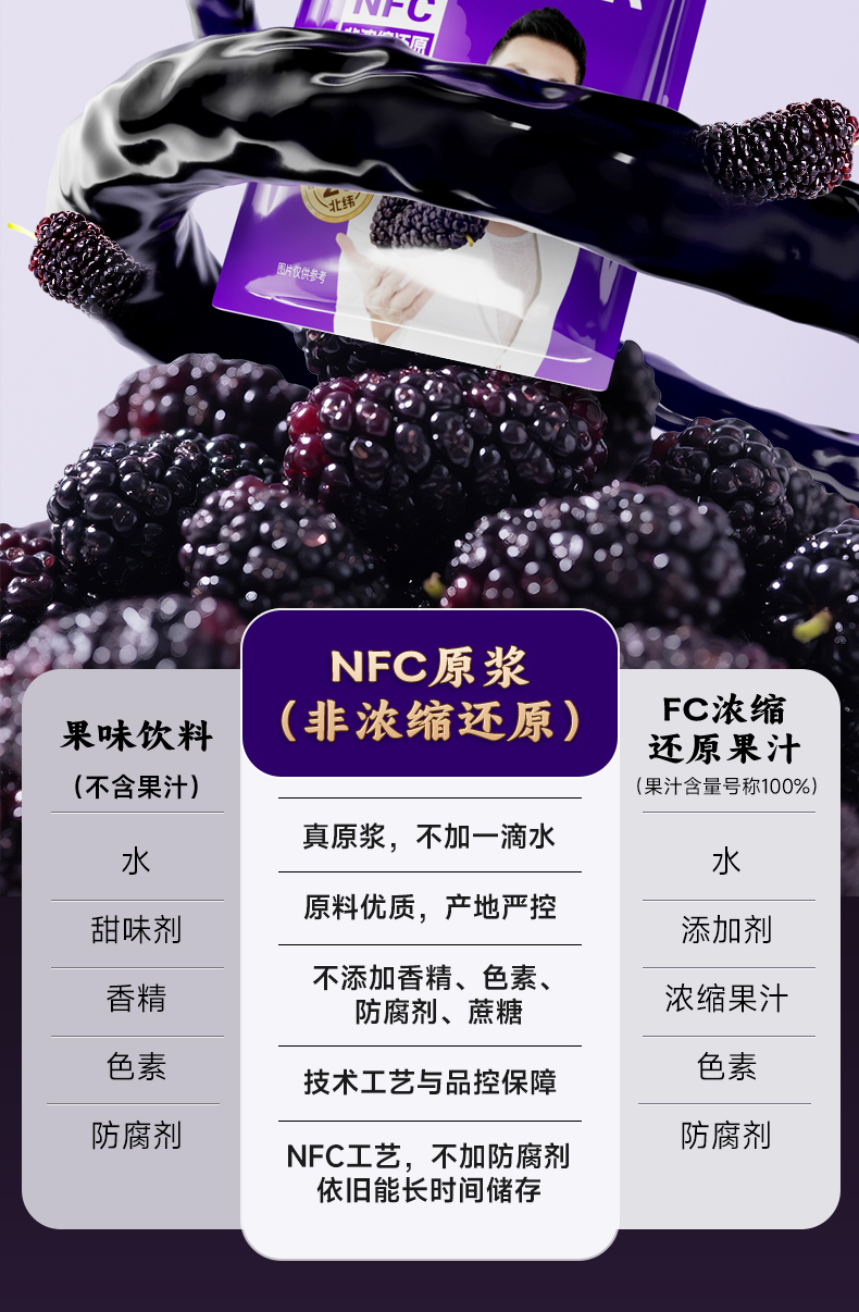 桑葚原浆-详情_16.jpg