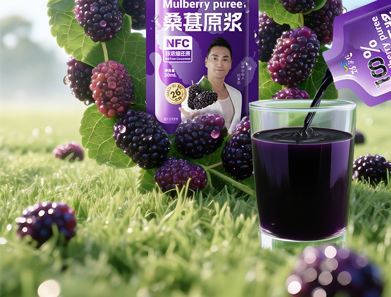 桑葚原浆-详情_10.jpg