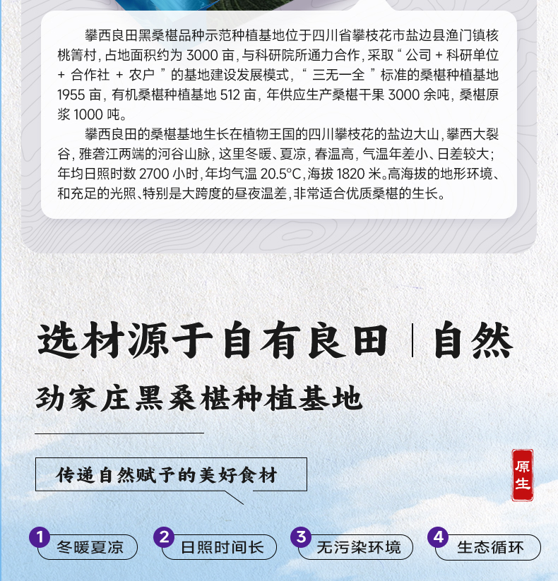桑葚原浆-详情_05.jpg