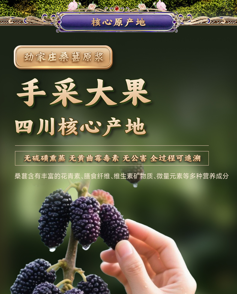 桑葚原浆-详情_07.jpg