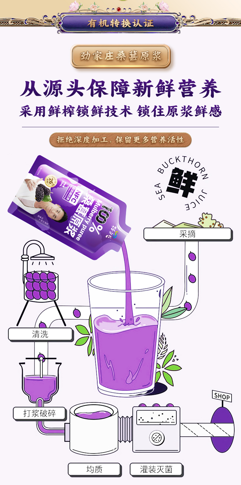 桑葚原浆-详情_14.jpg